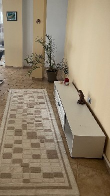 ,  - 